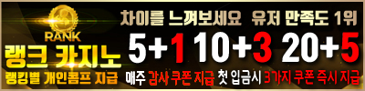 카지노사이트 랭크카지노