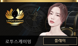 카지노-카지노사이트-랭크카지노-rankcasino트