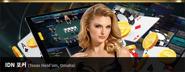 카지노사이트 파라오카지노 텍사스홀덤사이트