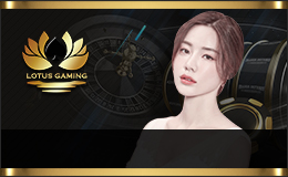 카지노사이트 파라오카지노 텍사스홀덤사이트