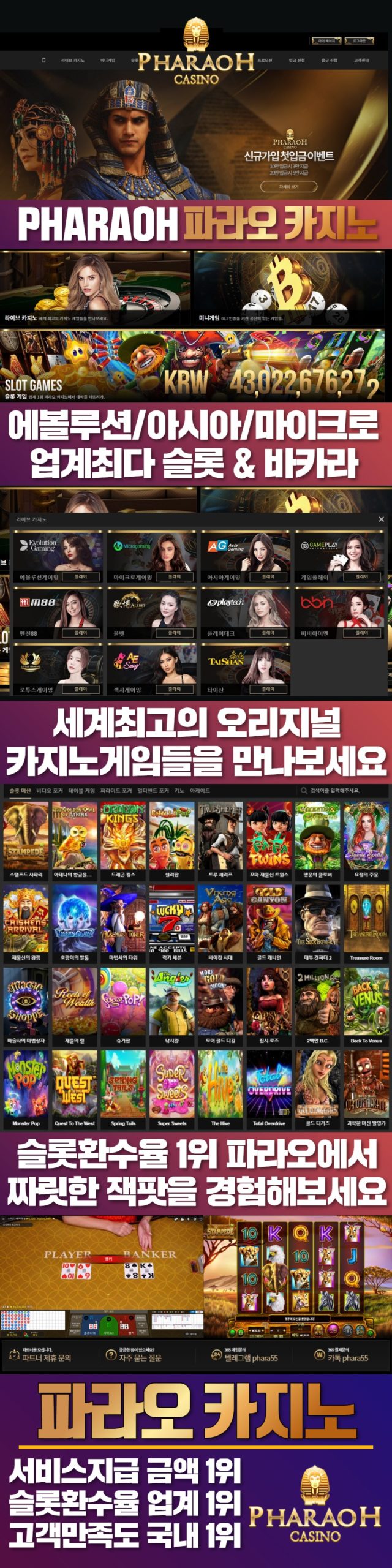 카지노사이트 파라오카지노 텍사스홀덤사이트