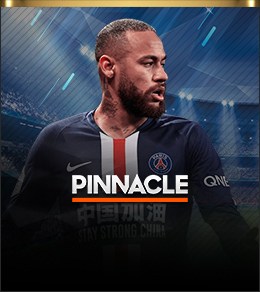 카지노사이트 파라오카지노 텍사스홀덤사이트