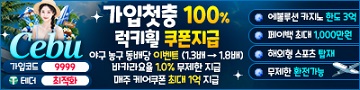 카지노사이트-세부-배너-텍사스홀덤사이트